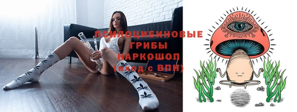 дживик Арсеньев