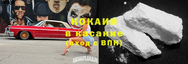 твердый Аркадак