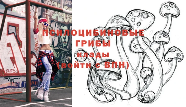 дживик Арсеньев
