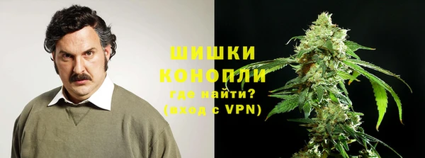 твердый Аркадак