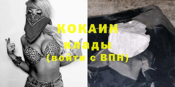 твердый Аркадак