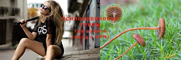 твердый Аркадак